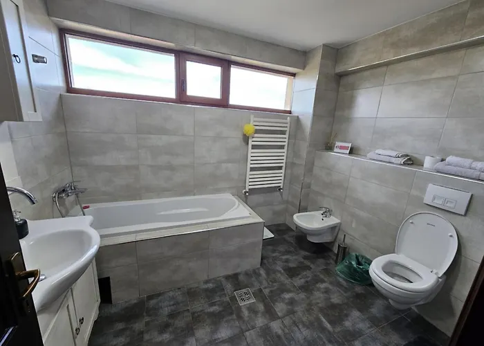 Penthouse Renasterii Amazonia Apartmán Temešvár