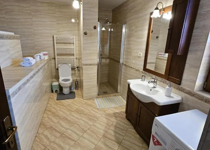 Penthouse Renasterii Amazonia * Temešvár
