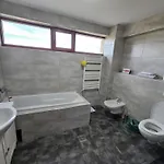 Penthouse Renasterii Apartment Timisoara
