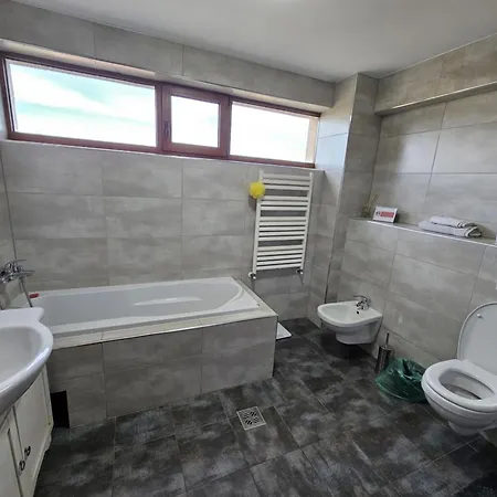 Penthouse Renasterii Amazonia Apartamento Timisoara